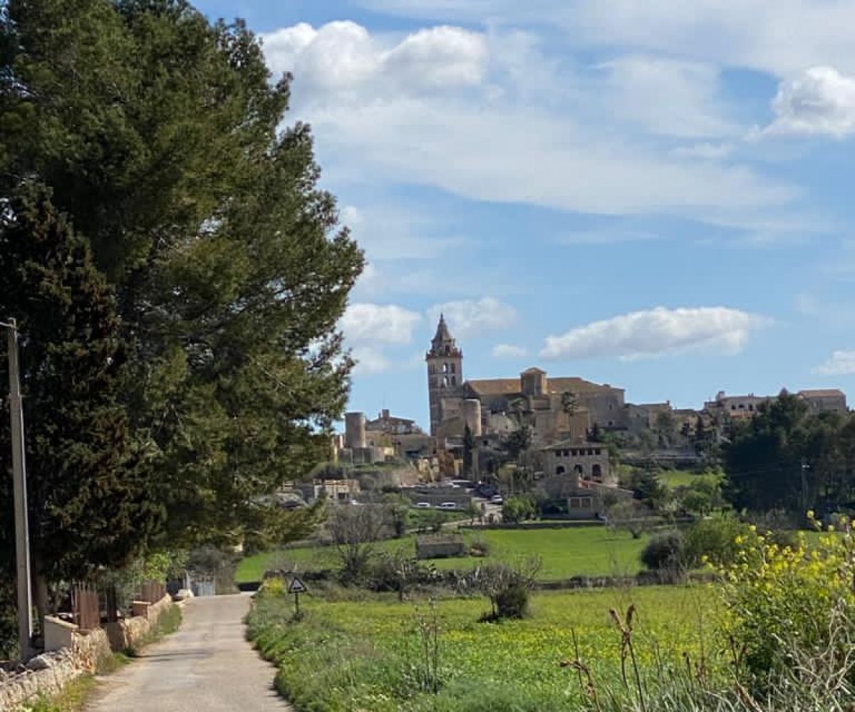 landscape finca view Sencelles