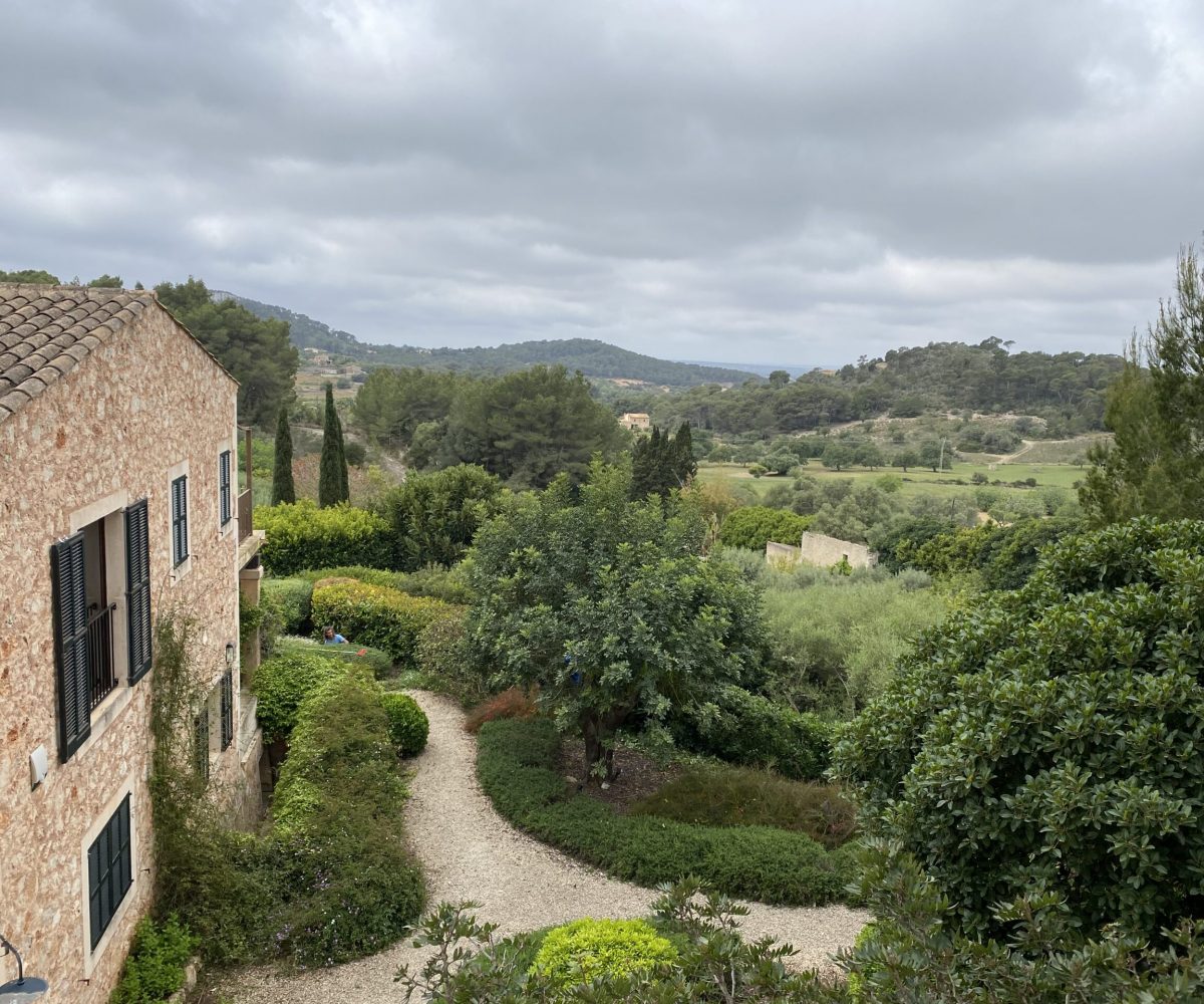 landscape finca view