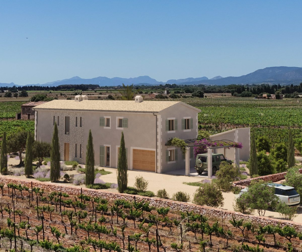 Sa Vinya B